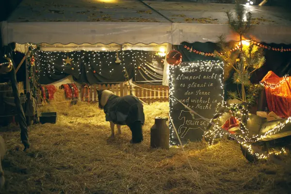 christmas-markets-DSC07609